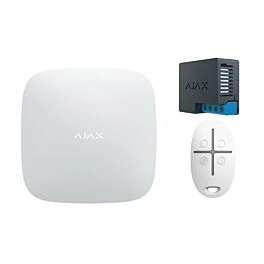 Ajax toegangspoort alarm – Set met relaismodule