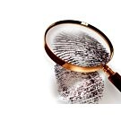 Story-Recherche